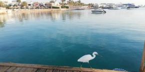 Apartment with private beach, Mamsha